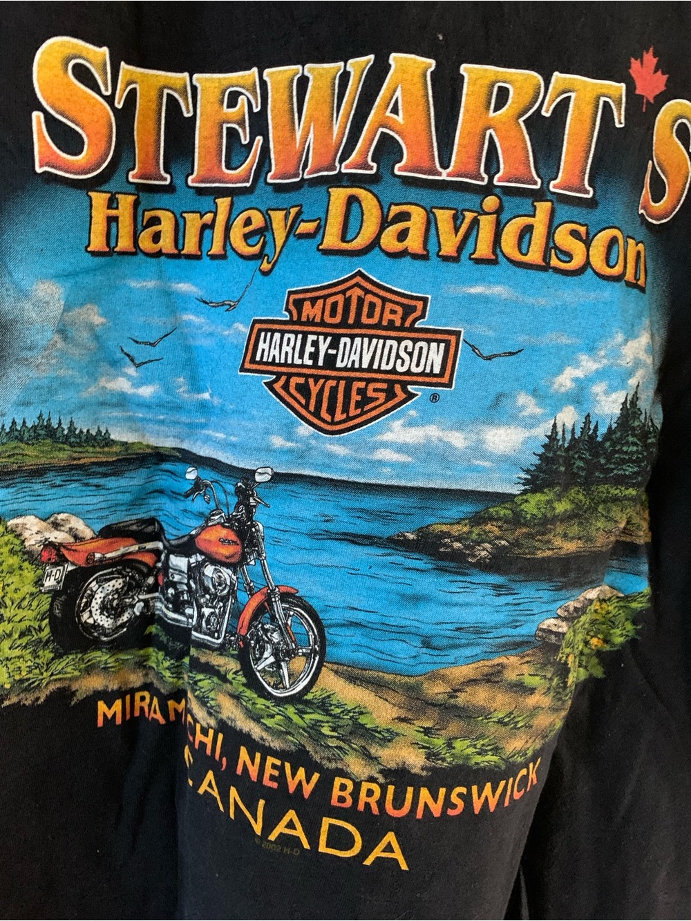 Vintage Harley-Davidson Stewart's Graphic Tee - Picture 5 of 5